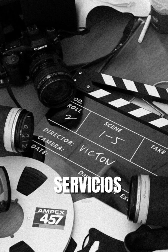 servicios categoría
