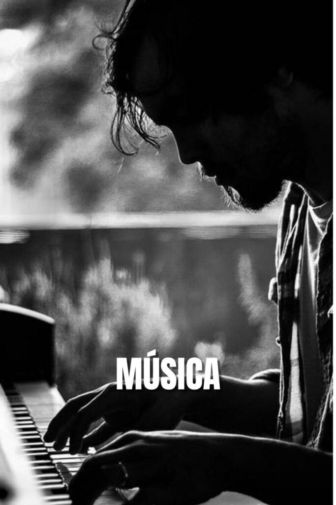 musica categoría